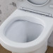 Унитаз-компакт безободковый FlashClean, с сиденьем микролифт AM.PM C45A8800SC Tender