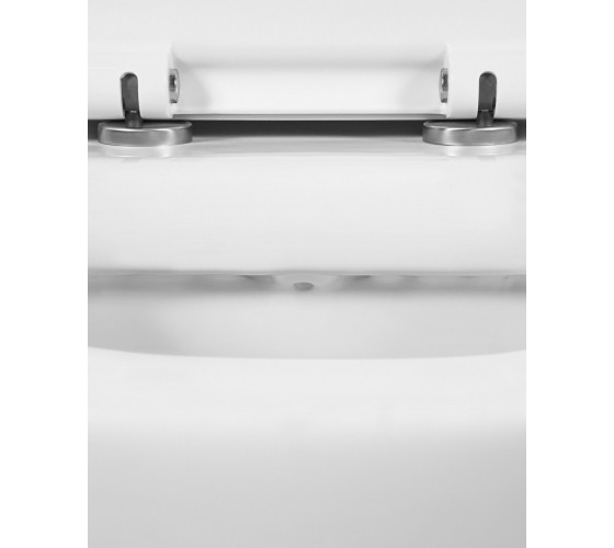 Унитаз подвесной AM.PM C531739WH Bliss L