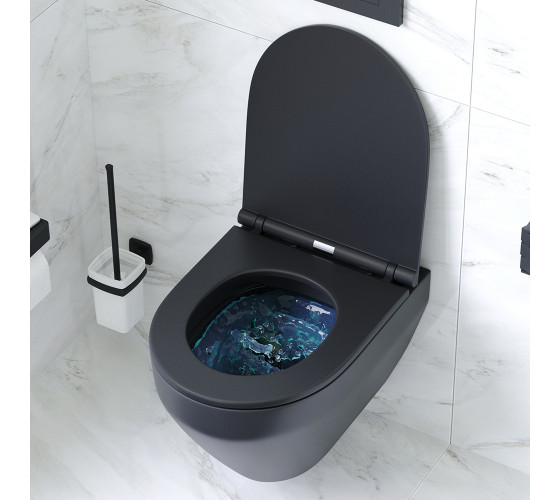 Подвесной унитаз FlashClean с сиденьем микролифт, черн мат AM.PM C701700MBSC Spirit V2.0