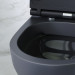 Подвесной унитаз FlashClean с сиденьем микролифт, черн мат AM.PM C701700MBSC Spirit V2.0